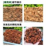 老花农 Тонкая кокосовая кирпичная кокосовая порошка кокосовая земля Кокосовая мякоть бедная зеленая роза выращивание земли выращивание земли Земля основание