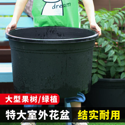 黑色加仑盆加厚特大口径防晒花盆塑料矮胖菜盆绣球蓝莓控根定植盆 - 图0
