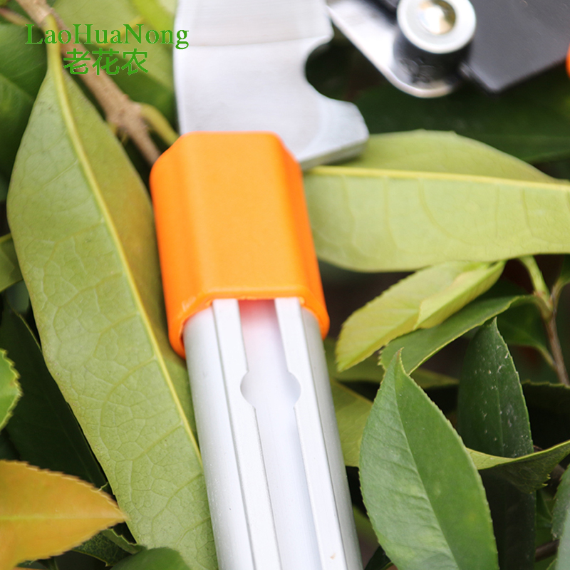 园林绿化修枝剪粗枝园艺大剪刀花剪刀果树枝草坪剪可伸缩绿篱剪