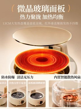 乐扣养生壶全玻璃电陶炖煮一体2026新款煮茶壶小型一人养生烧水壶