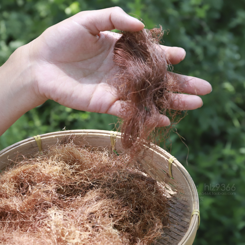 玉米须花草农家无硫药材玉麦须棒子毛孕妇泡茶草药材另售金钱草-图1