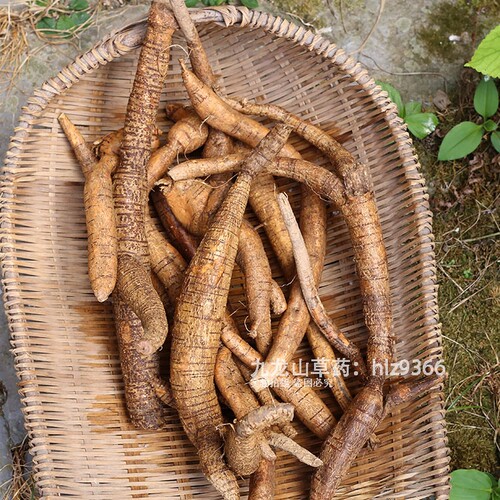 深山牛大力薯广东煲汤料金钟根农家新鲜现挖山莲藕泡酒煲汤草药材 - 图0