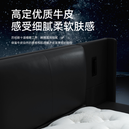 金可儿实木床架家用卧室双人床真皮现代简约主卧高端大气繁星系列 - 图0