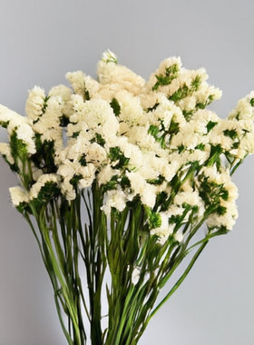 永生花真花干花花束客厅家居装饰