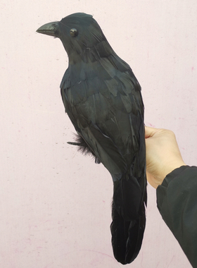 鬼节黑色拍摄电视剧羽毛头饰乌鸦