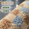 Ins style carpet bedroom bedside blanket home master bedroom bed front plush velvet foot pad room small carpet long strip floor mat