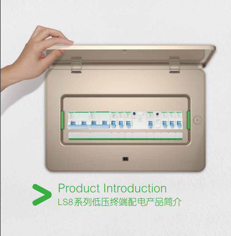 施耐德LS8断路器1P+N DPN双进双出16A20A25A32A40A漏电保护器空开-图3