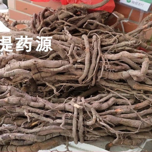 广西野生黑老虎根中药材过山风钻地风钻山风大钻骨风冷饭团可磨粉 - 图0