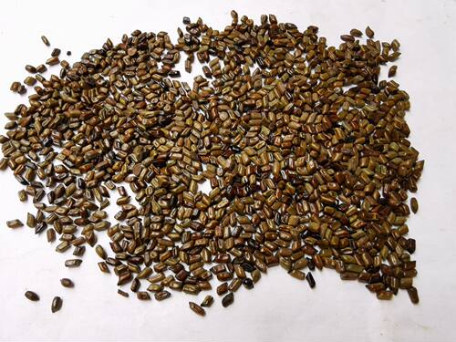 决明子生草决明子中药材泡水泡茶散装食用假绿豆500g克包邮 - 图0