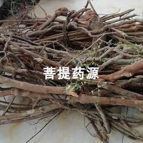 中药材当归藤大力王500克g 虎尾草土当归米筛藤土丹桂 可磨粉 - 图2