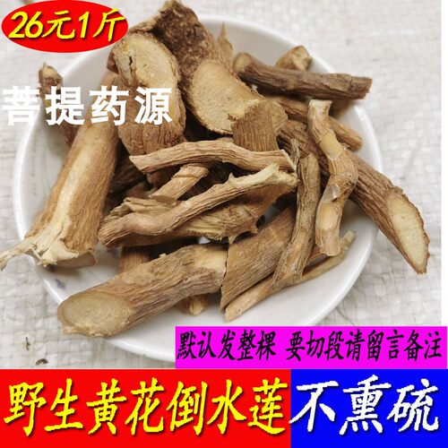 正宗野生黄花倒水莲根干货观音串月子茶煲汤黄花参根倒吊黄根泡酒 - 图1
