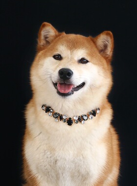 伴宠时光宠物宝石水晶链条项链猫咪狗狗奢华满钻水滴金属婚礼项圈