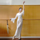 Classical dance printed rhyme gauze practice clothes for women Chinese dance ethnic dance modern dance clothes tops basic training clothes