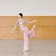 Classical dance clothes with gradient body charm, loose gauze clothes, modern dance Chinese dance body training clothes and tops