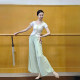 Short-sleeved classical dance gauze Chinese dance clothing rhyme bodysuit dance tops women's new spring and summer dance practice clothes