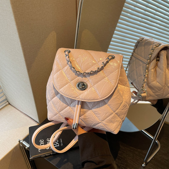 Amy Rabbit Women's Bag 2026 New Fashion Versatile Chain Backpack Niche Design Daily Casual Shoulder Bag