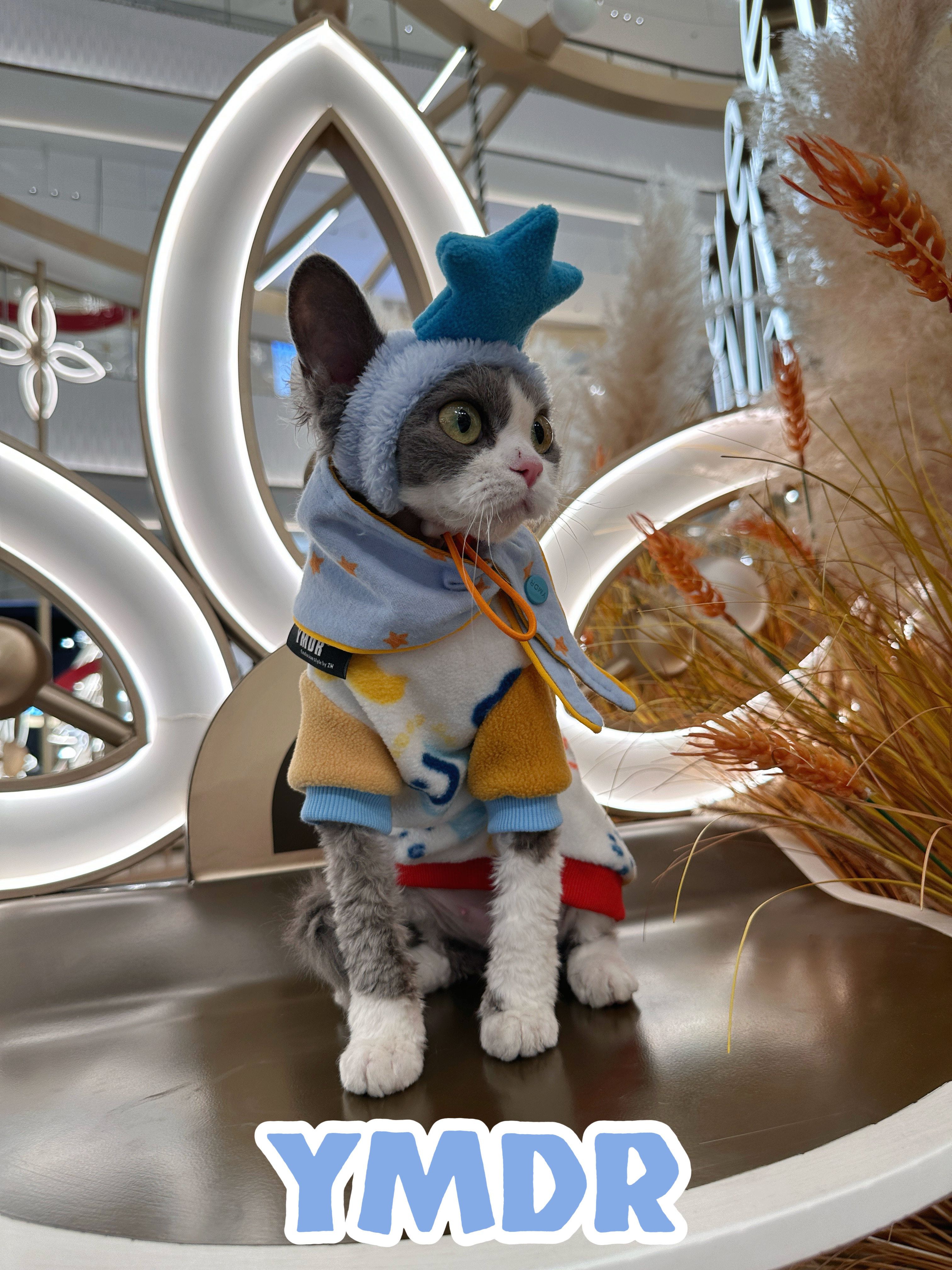 YMDR原创德文帽子德文衣服秋冬款可爱卡通厚摇粒绒T恤星配饰套装,淘宝优惠券,粉丝福利购,淘宝优惠卷