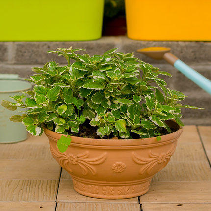 爱丽思加厚绿萝花盆树脂花盆 圆形 大号 多肉盆阳台塑料吊兰花盆 - 图2
