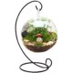 Diy material activity green plant ecological bottle micro landscape bottle