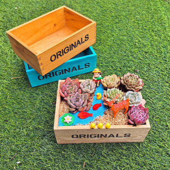 Rectangular wooden micro landscape flower pot