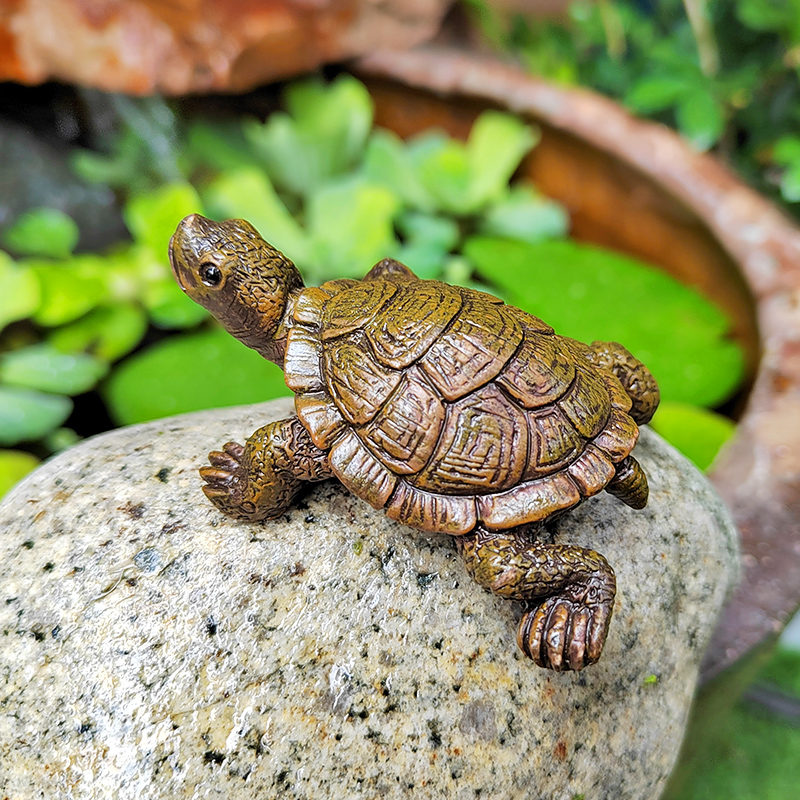 仿真小乌龟摆件花园微景观假山水池鱼池水族鱼缸造景装饰品小海龟 - 图3