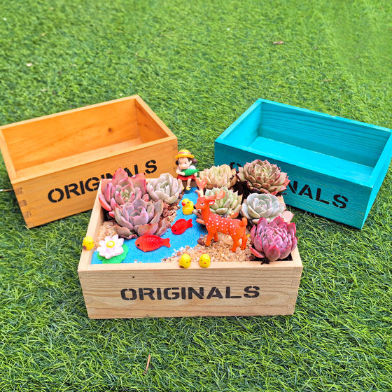 Rectangular wooden micro landscape flower pot
