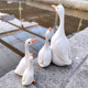 The fiery red illusion duck shape is cute and durable