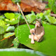 Fire Red Illusion Miniature Fishing Man Ornament