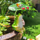 Hold an umbrella to enjoy the cool, simulated frog ornament