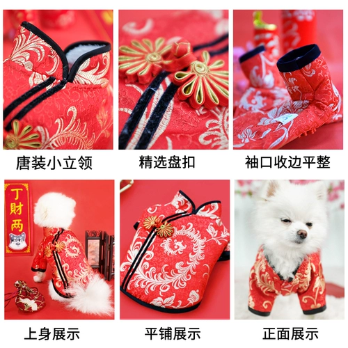 Щенка одежда Tang Clothing Новый год.
