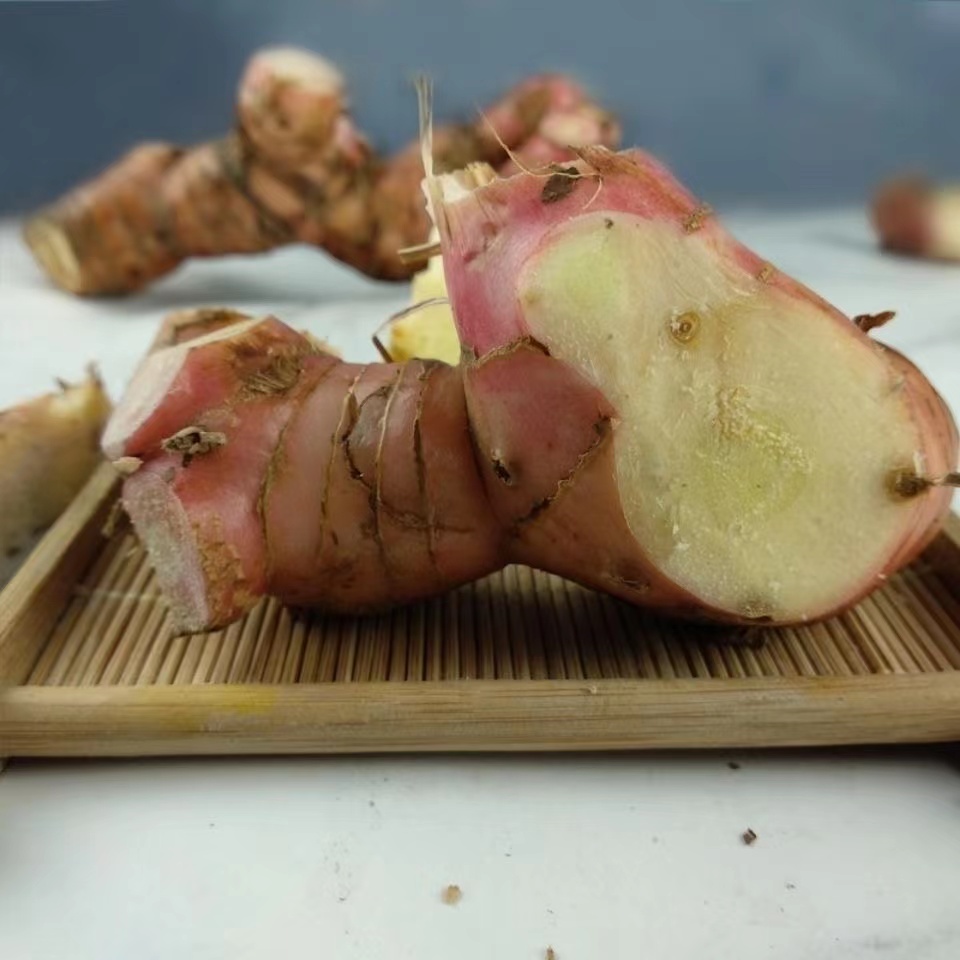 潮汕新鲜南姜山姜潮汕牛肉火锅除膻味香料食用姜高良姜包邮新鲜-图0