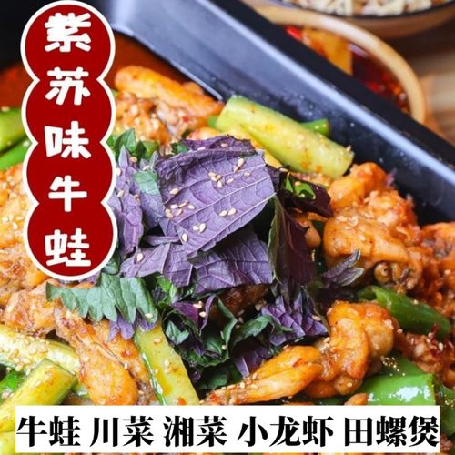 新鲜现摘紫苏叶带杆新鲜食用紫苏牛蛙鱼虾田螺蛳粉香料 增香去腥 - 图2