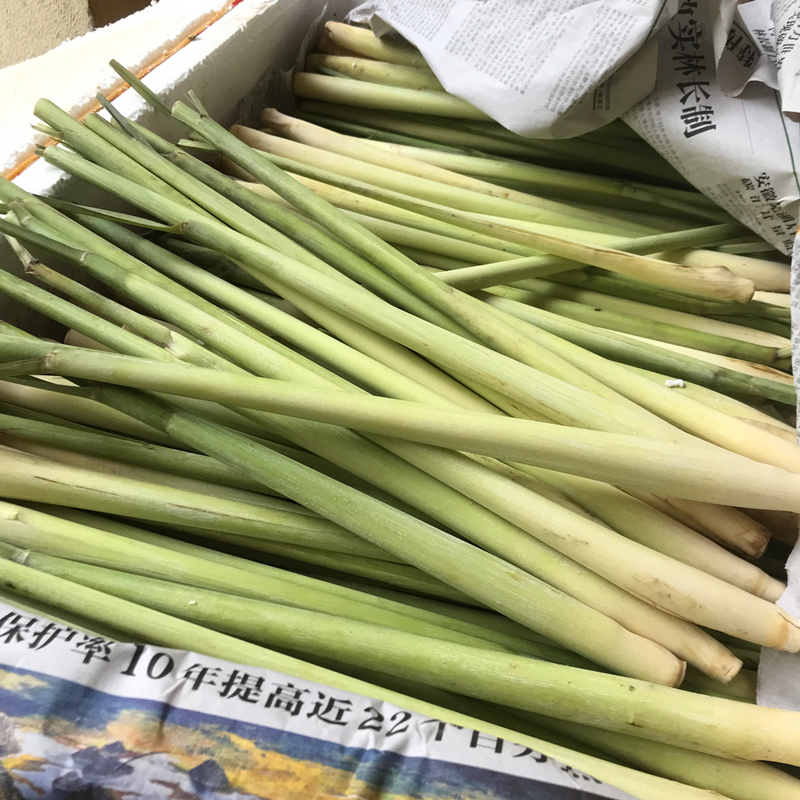 新鲜香茅草食用奶茶店调料泡茶香茅500g泰国冬阴功食材香料柠檬草 - 图0