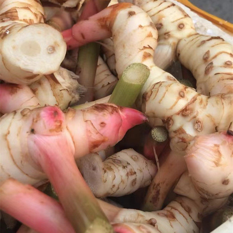 泰国冬阴功咖喱新鲜南姜良姜高良姜冬荫功汤原料白皮南姜泰国南姜,淘宝优惠券,粉丝福利购,淘宝优惠卷