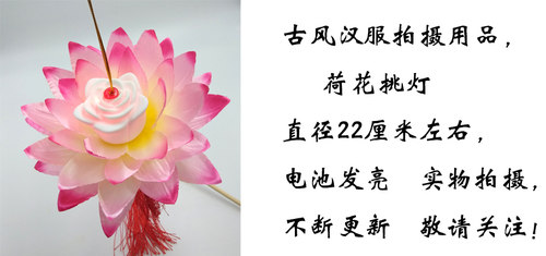 汉服拍摄用品手提莲花灯演出舞蹈古风道具电子放灯行荷花灯挑灯 - 图3