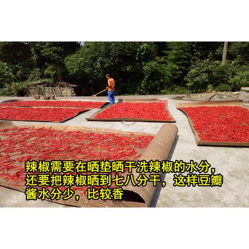 800g农家四川特产手工自制红油郫县豆瓣酱 辣椒酱 正宗川菜调料 - 图3