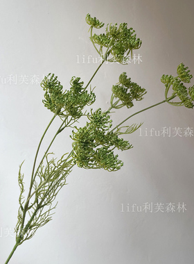 仿真花白色蕾丝花长枝满天星假花