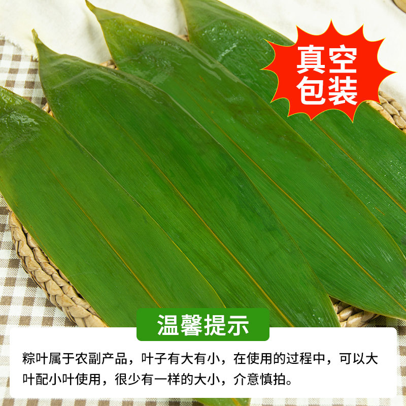 粽叶新鲜粽子叶100片包粽子专用大号粽叶干南方现摘非芦苇大粽叶 - 图1