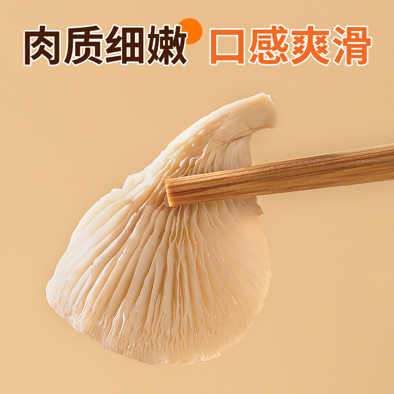 平菇干货凤尾菇白平菇食用炒菜煲汤食材菌菇类磨菇非新鲜平菇香菇 - 图2