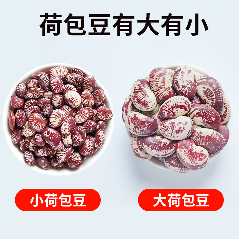 农家荷包豆新货5斤农家肾豆新鲜五谷杂粮豆类粗粮状元豆花芸豆