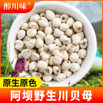 Four Chuan Fritillary Kawasawa New Cargo Traditional Chinese Herbal Medicine Chuan Fritillaria Preferred Pine Berfritillary Pine Bay Powder 10g Sichuan Bay Grain