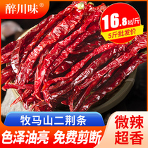 Pasta Mountain Bijingang Strip Dry Chili 500g Slightly Spicy Chili Dried Sichuan Spiced Hot Red Pepper 2 catfish Peppers Dry stock