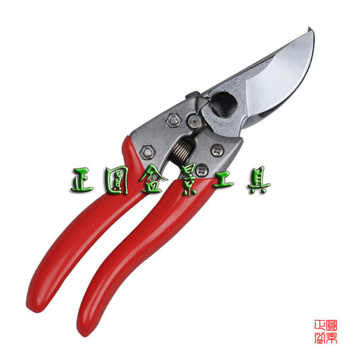 爱丽斯 枝剪/修枝剪/ARS 园艺剪刀/盆景工具/VS-8Z/V8 升级款 - 图0