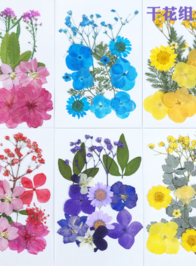 真花干花标本diy材料包