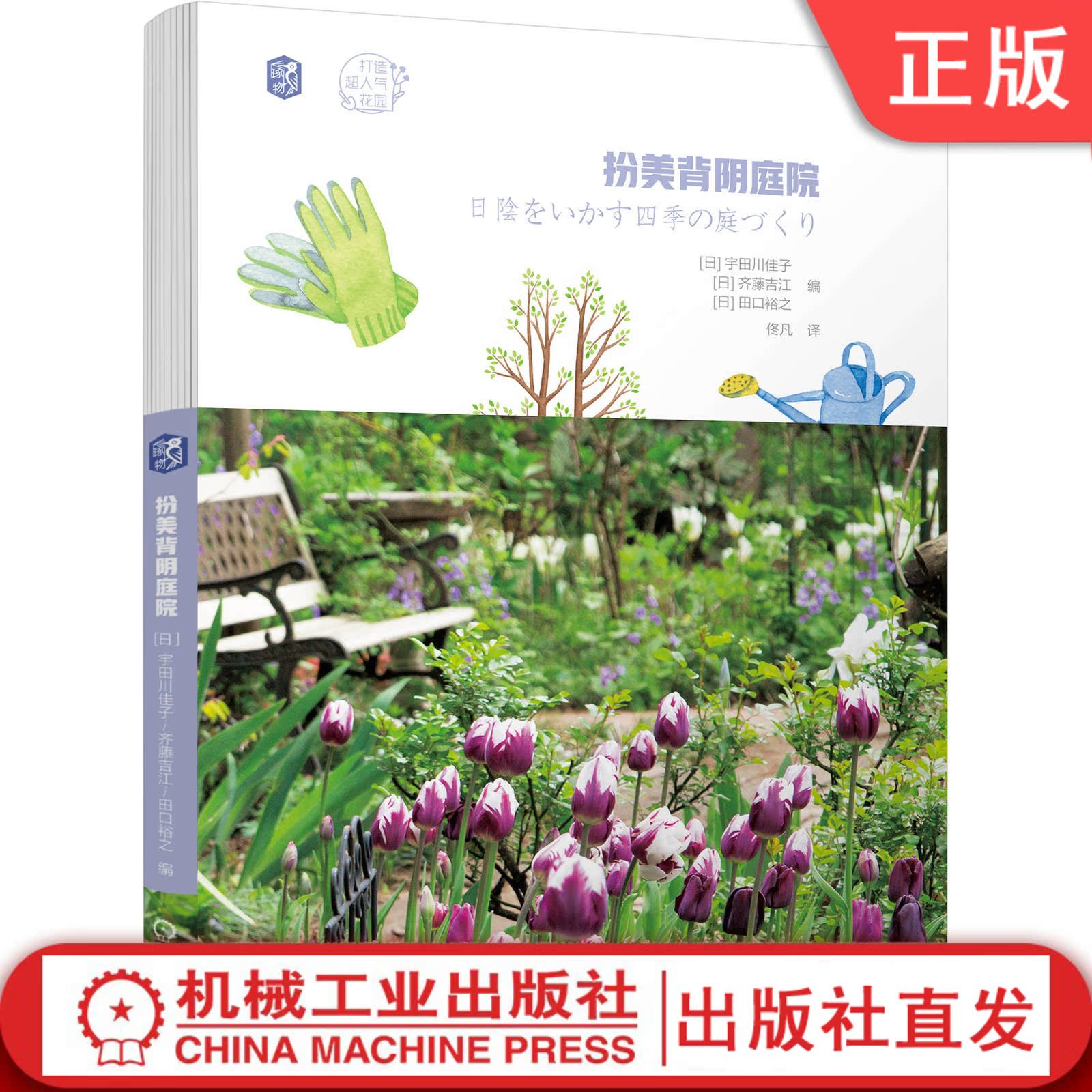 喜阴植物盆栽 新人首单立减十元 21年8月 淘宝海外
