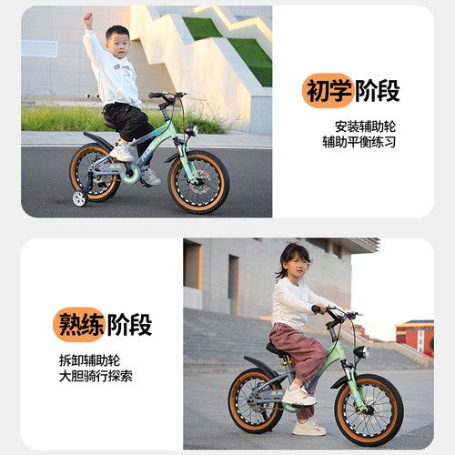 凤凰儿童自行车男女孩中大童3-6-8到10-12-15岁小孩学生山地单车 - 图0