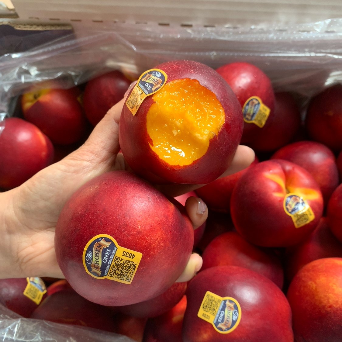 现货进口金腰带黄肉油桃5斤桃子新鲜水果当季脆甜黄心水密桃整箱,淘宝优惠券,粉丝福利购,淘宝优惠卷