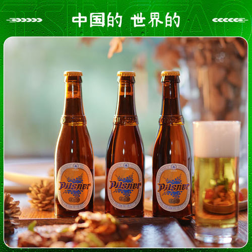 青岛啤酒皮尔森系列330ml*24瓶 - 图2