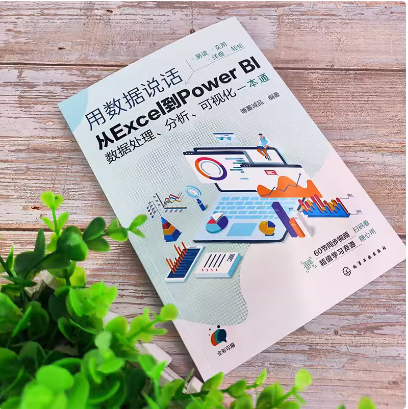 用数据说话 从Excel到Power BI数据处理 分析 可视化一本通 Excel+Power BI联合 轻松搞定数据分析 Excel及PowerBI入门参考书籍