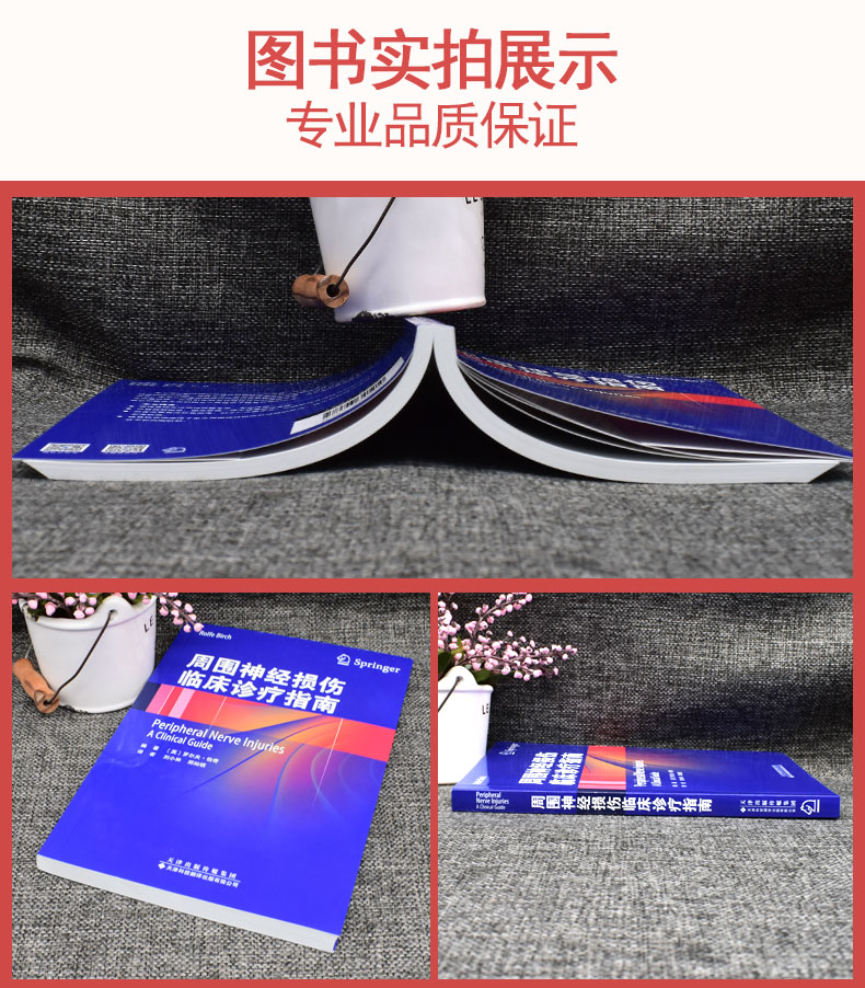 周围神经损伤临床诊疗指南 神经外科骨科显微外科医生参考书 天津科技翻译出版社9787543341210